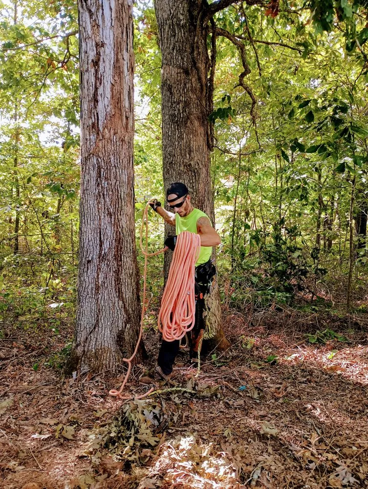 Trusted residential landscaping experts serving London, KY - Top Notch Trimming & Property Management