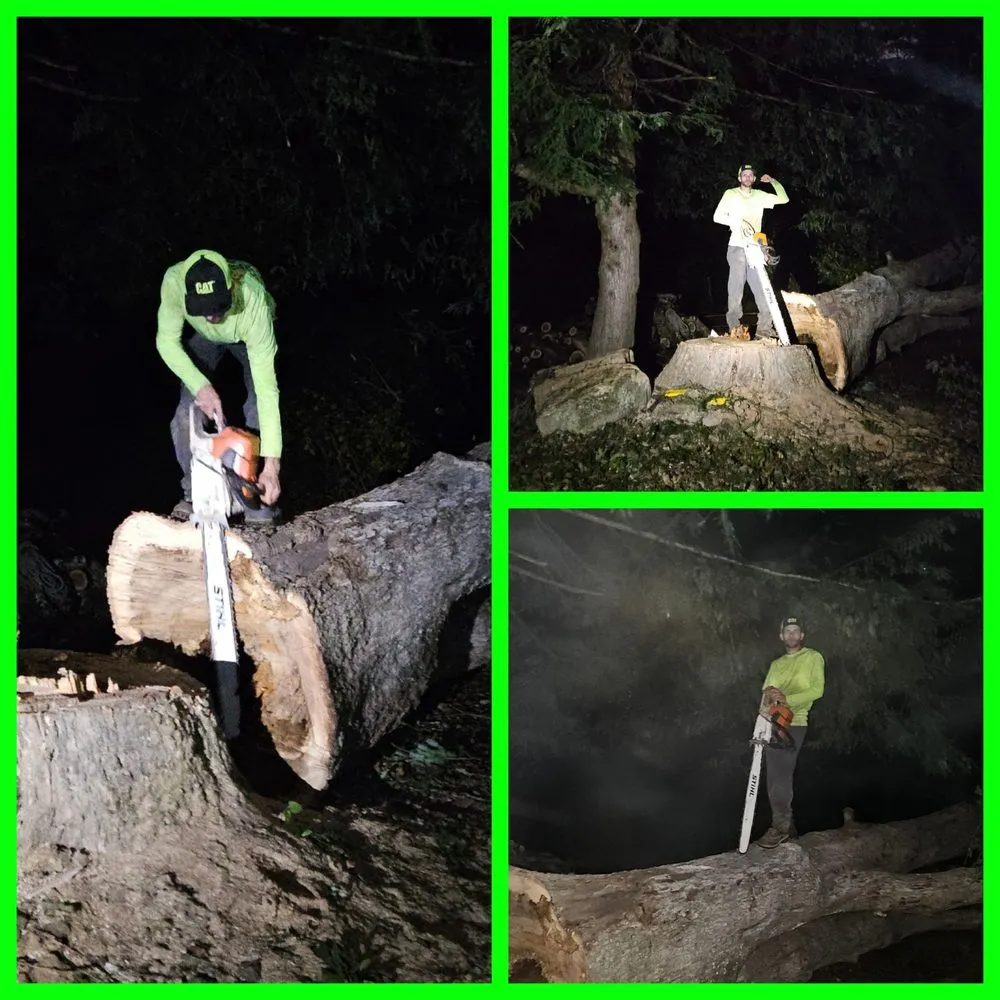 Professional landscaping services near you in London, KY by Top Notch Trimming & Property Management