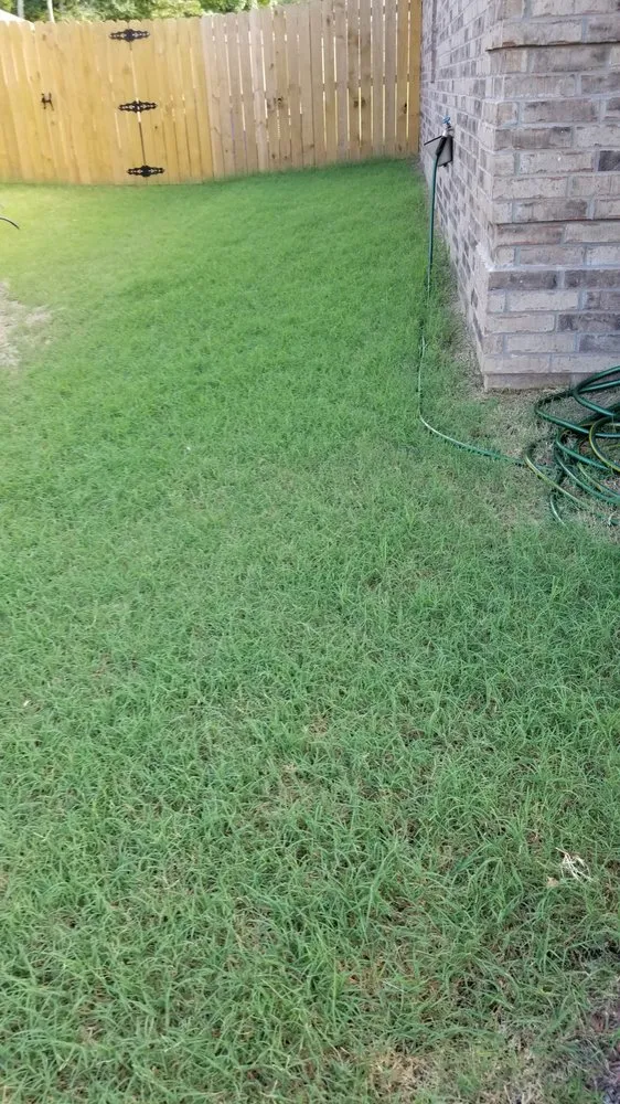 Trusted landscaping services experts serving North Little Rock, AR - Top Notch Turf and Pest