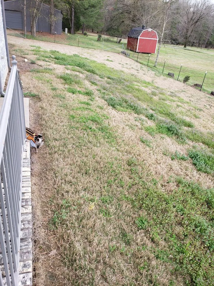 Affordable landscaping services in North Little Rock, AR - Top Notch Turf and Pest