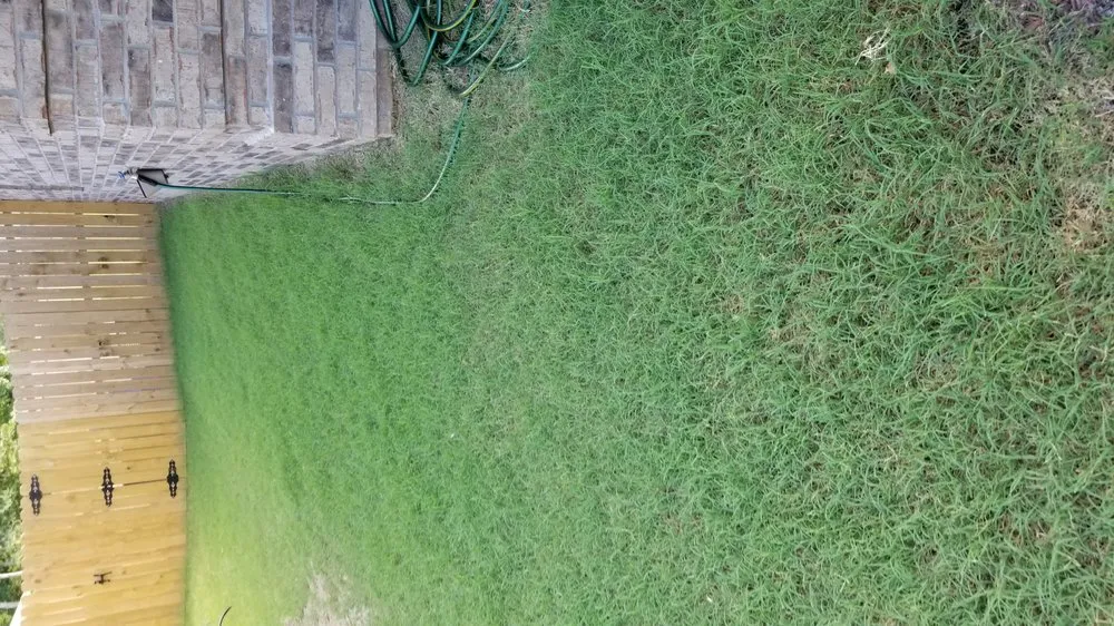 Local yard cleanup service in North Little Rock, AR - Top Notch Turf and Pest