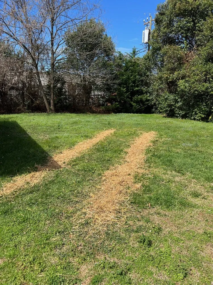 Trusted lawn mowing service experts serving Rock Hill, SC - Top Notch Turf