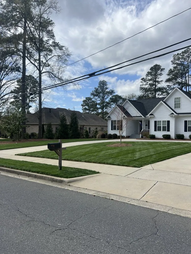Professional yard cleanup service for residential properties across Rock Hill, SC - Top Notch Turf