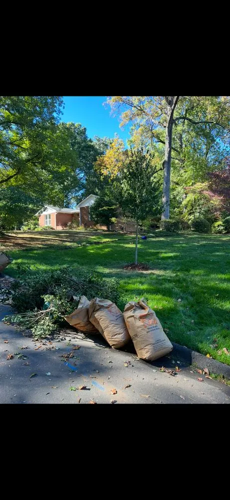 Expert yard maintenance in Rock Hill, SC by Top Notch Turf