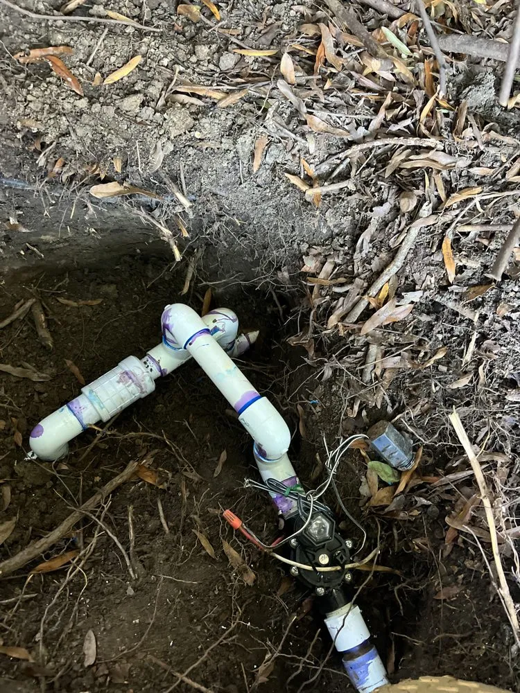 Trusted landscape design experts serving Rock Hill, SC - Top Notch Turf