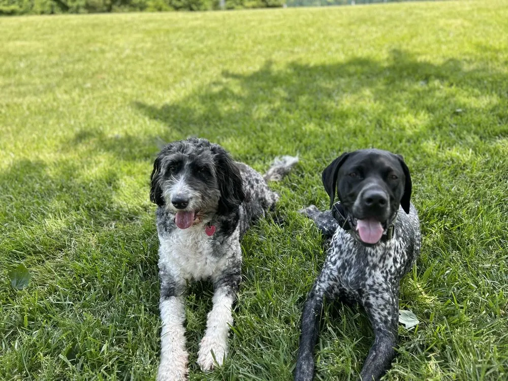 Trusted landscaping services in Rock Hill, SC - Top Notch Turf