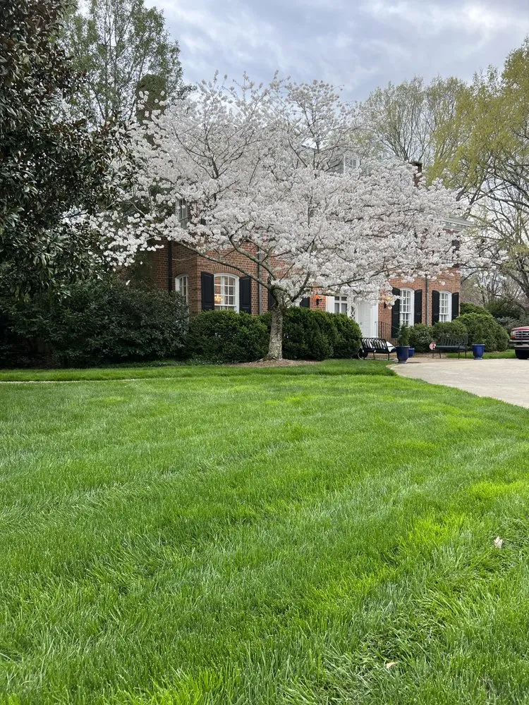 Affordable garden landscaping in Rock Hill, SC - Top Notch Turf