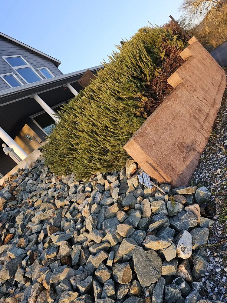 Expert lawn care service in Ceres, CA by Top of Quality Lawncare & Maintenance Landscape