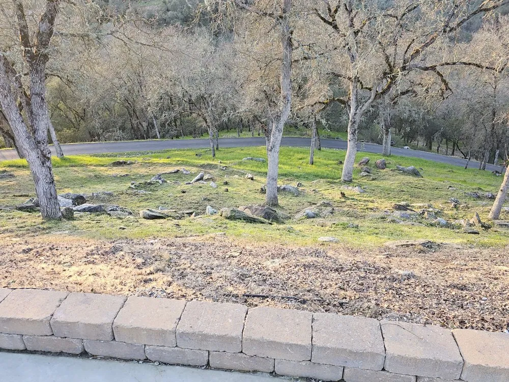 Custom landscape design in Ceres, CA by Top of Quality Lawncare & Maintenance Landscape