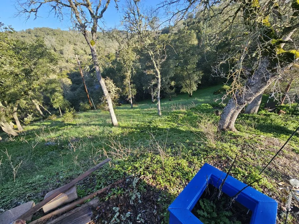 Expert residential landscaping in Ceres, CA - Top of Quality Lawncare & Maintenance Landscape