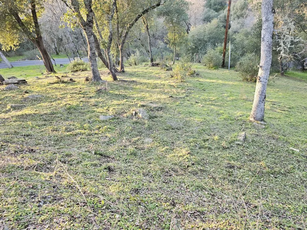 Trusted landscaping services in Ceres, CA by Top of Quality Lawncare & Maintenance Landscape