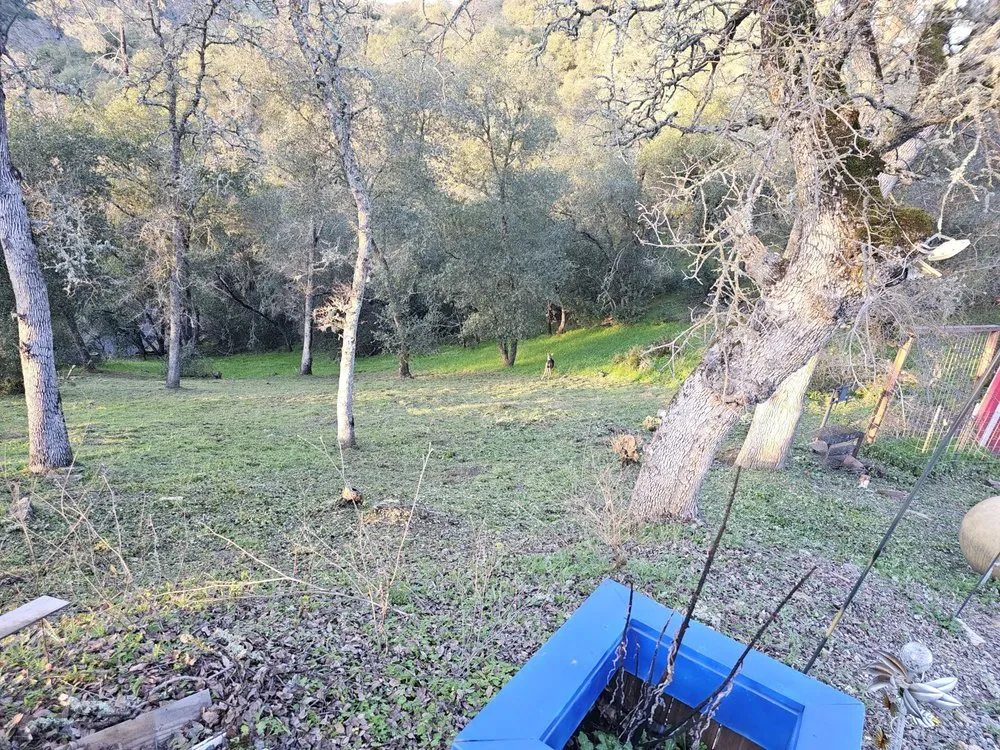 Affordable landscaping services experts serving Ceres, CA - Top of Quality Lawncare & Maintenance Landscape