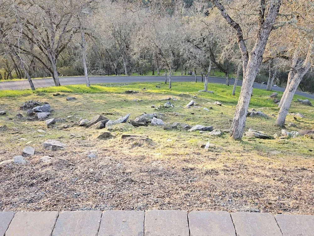 Expert lawn mowing service for homes in Ceres, CA by Top of Quality Lawncare & Maintenance Landscape