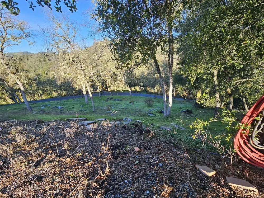 Local landscaping services for residential properties across Ceres, CA - Top of Quality Lawncare & Maintenance Landscape