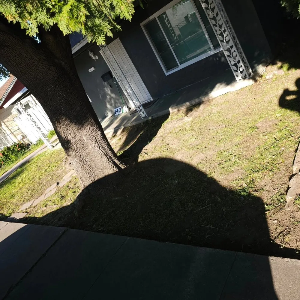 Reliable yard cleanup service near you in Ceres, CA by Top of Quality Lawncare & Maintenance Landscape