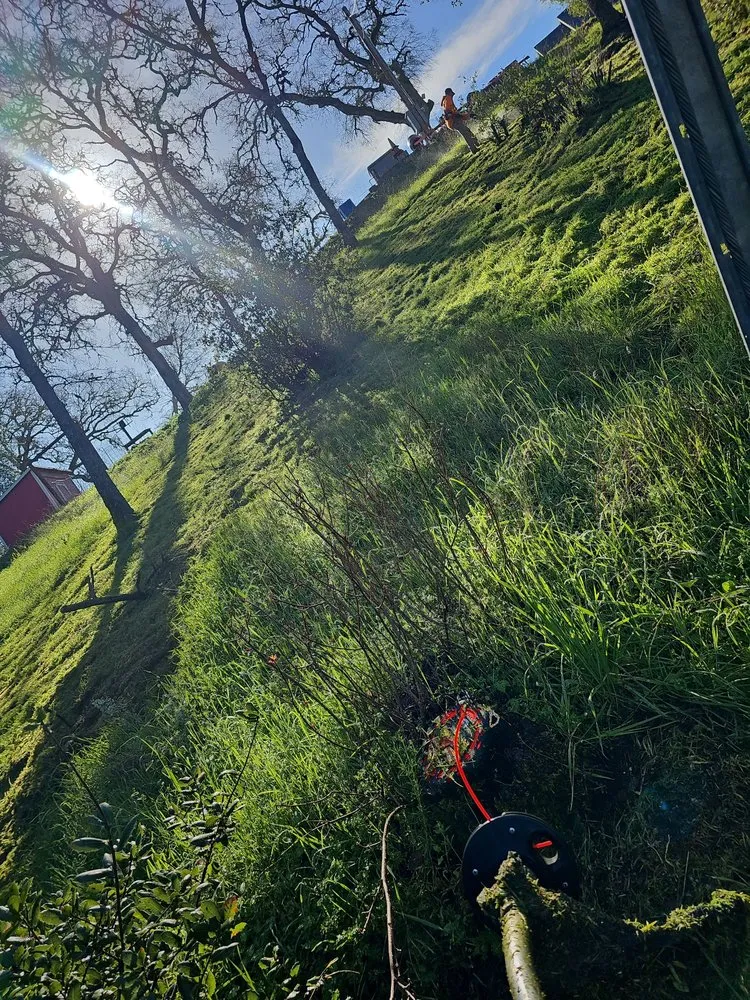 Affordable yard maintenance experts serving Ceres, CA - Top of Quality Lawncare & Maintenance Landscape