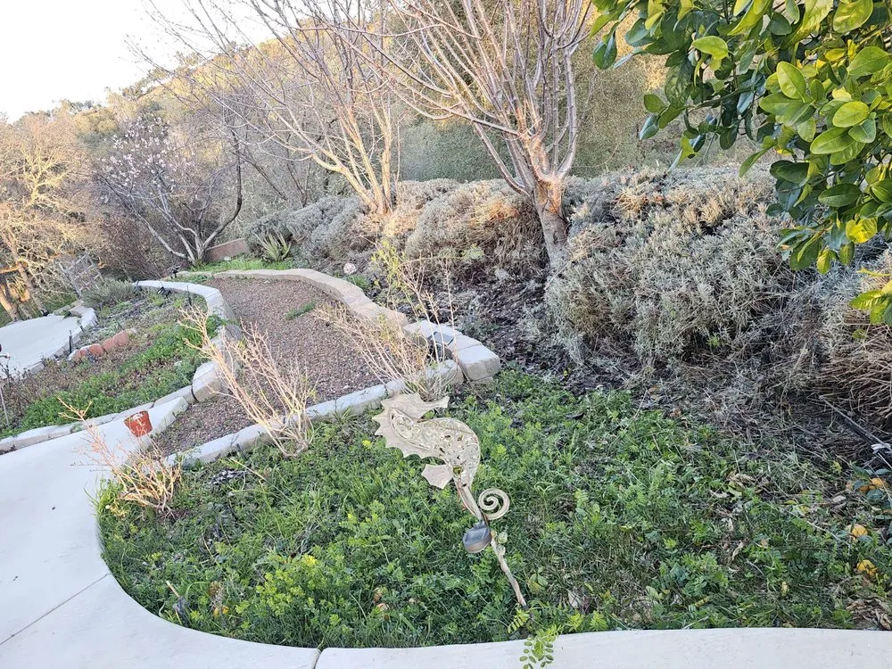 Top-rated landscape installation in Ceres, CA - Top of Quality Lawncare & Maintenance Landscape