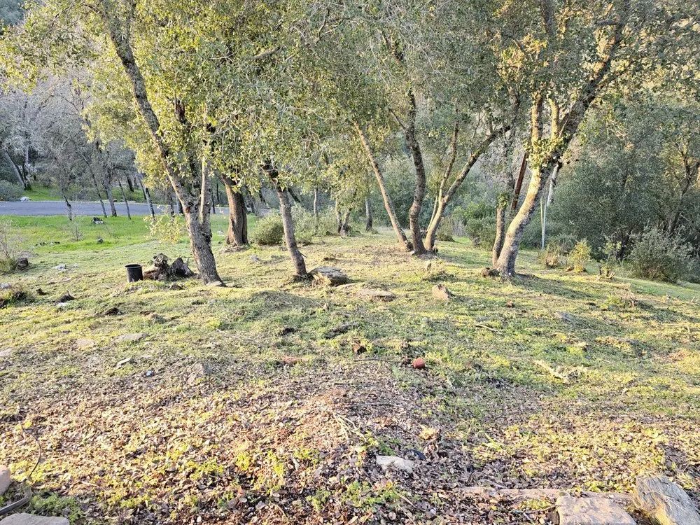 Expert lawn care service experts serving Ceres, CA - Top of Quality Lawncare & Maintenance Landscape