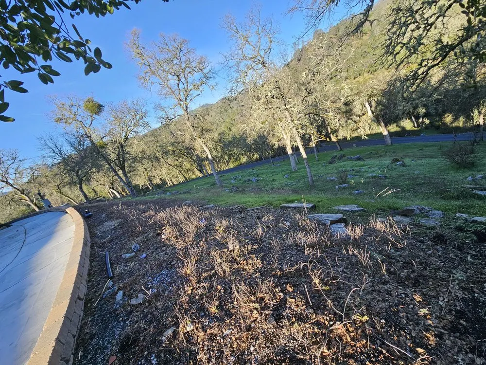 Expert yard cleanup service in Ceres, CA - Top of Quality Lawncare & Maintenance Landscape