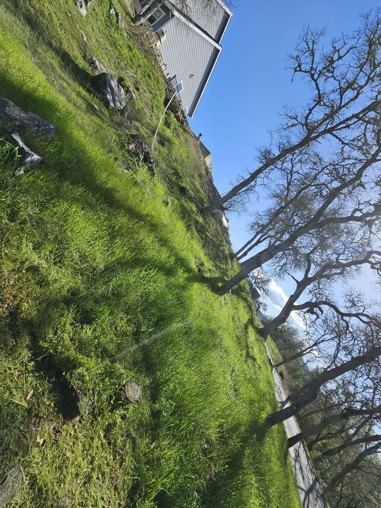 Affordable landscaping services for beautiful yards across Ceres, CA - Top of Quality Lawncare & Maintenance Landscape