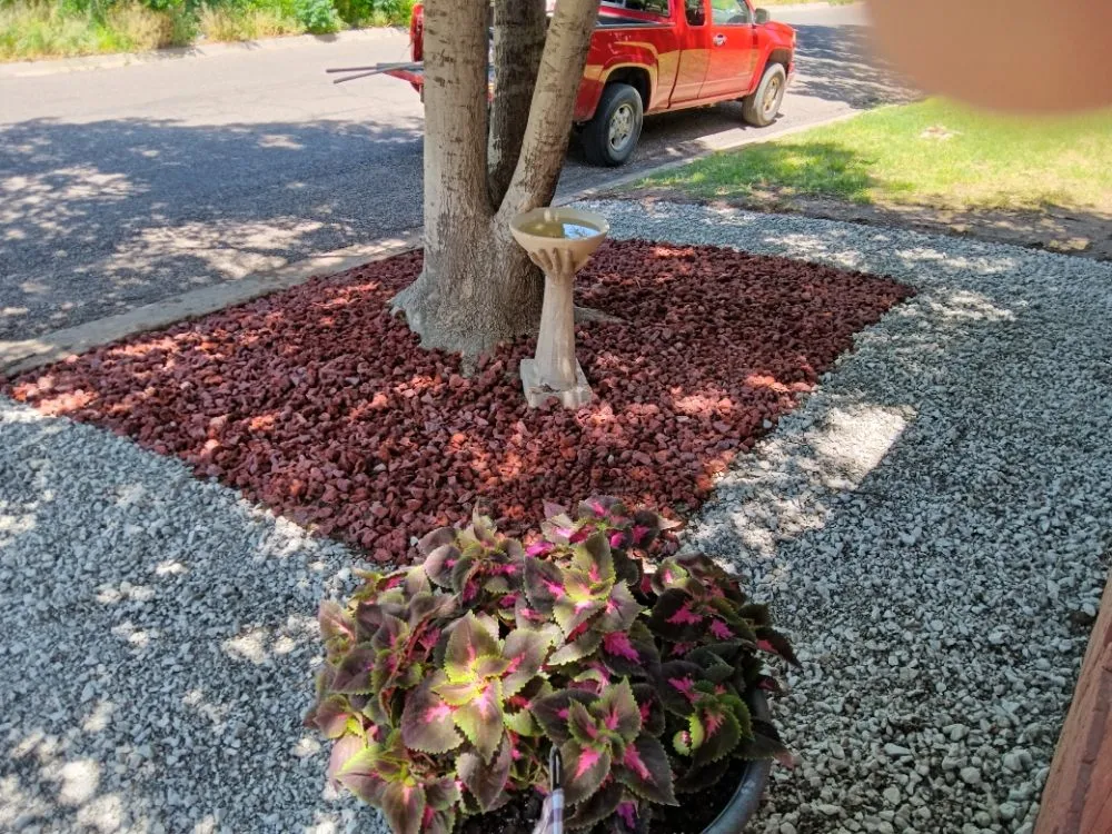 Top-rated yard cleanup service experts serving Big Spring, TX - Top of Texas Landscaping