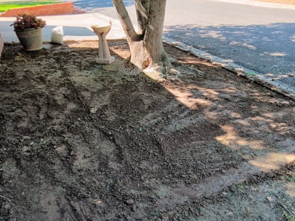 Trusted lawn care service with custom design across Big Spring, TX - Top of Texas Landscaping