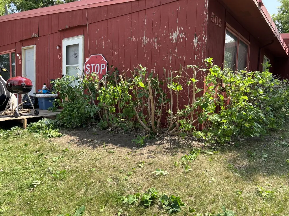 Professional yard maintenance in Minot, ND - Top Of The Line Landscaping