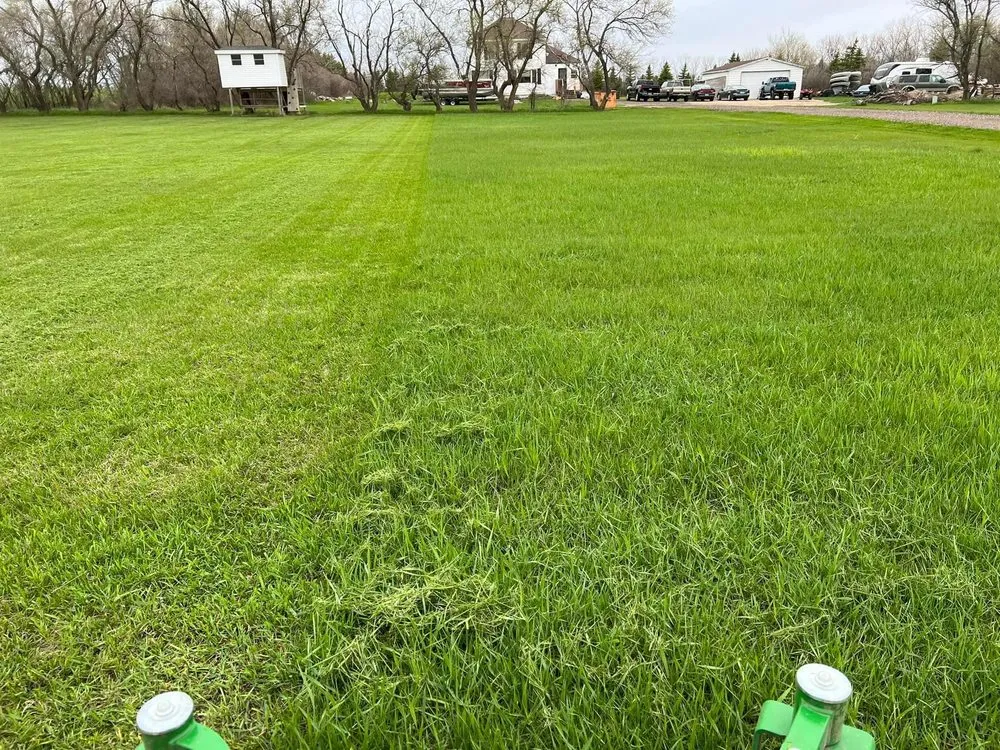 Reliable lawn care service in Minot, ND - Top Of The Line Landscaping