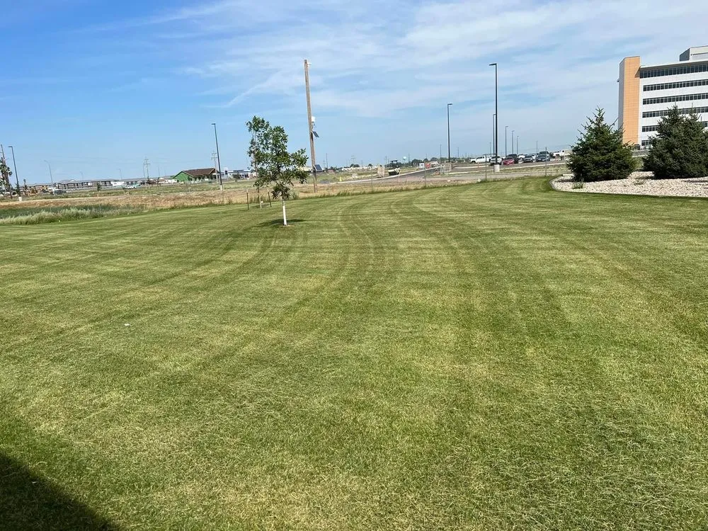 Top-rated garden landscaping in Minot, ND by Top Of The Line Landscaping