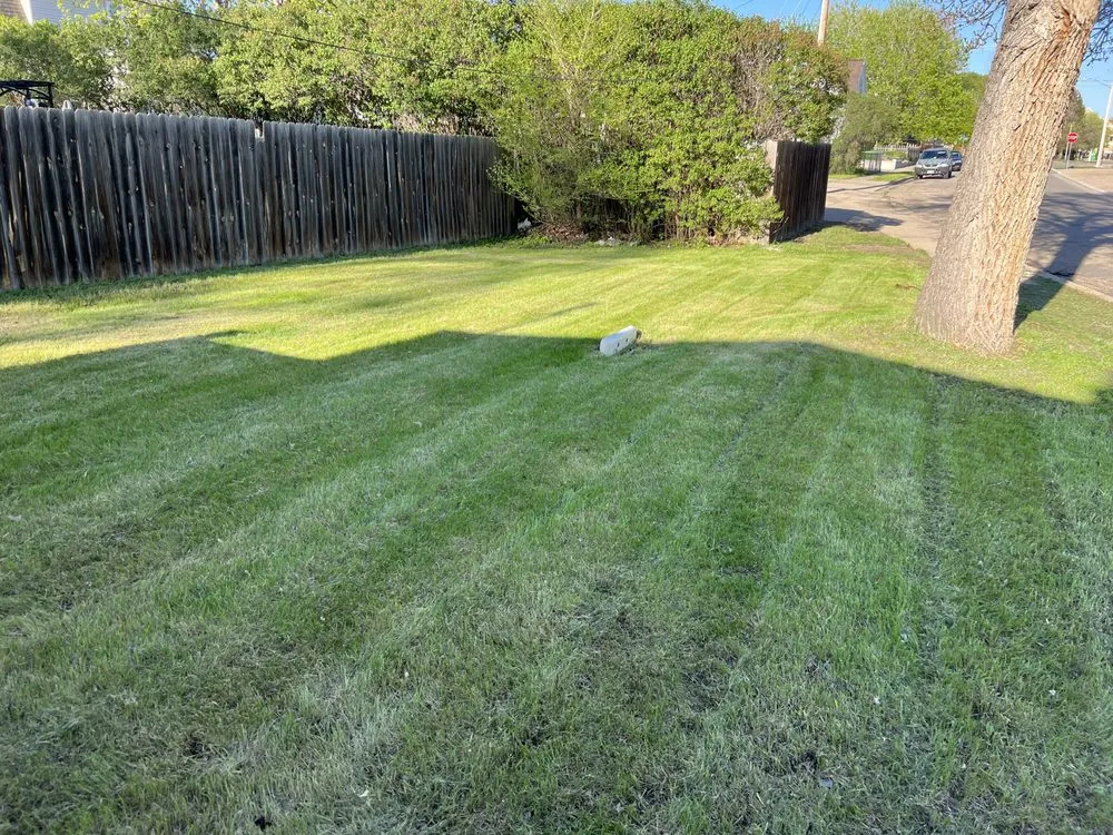 Affordable yard cleanup service for residential properties across Minot, ND - Top Of The Line Landscaping