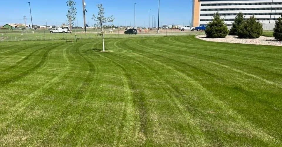 Affordable lawn mowing service near you in Minot, ND by Top Of The Line Landscaping