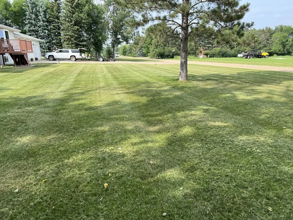 Local yard maintenance in Minot, ND by Top Of The Line Landscaping