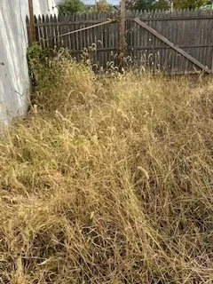 Top-rated landscape installation for beautiful yards in Piscataway, NJ by Top of the Line Lawn, Landscaping and Property Maintenance