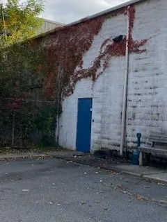 Affordable landscaping services in Piscataway, NJ - Top of the Line Lawn, Landscaping and Property Maintenance