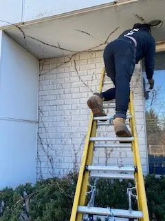 Top-rated landscaping services experts serving Piscataway, NJ - Top of the Line Lawn, Landscaping and Property Maintenance