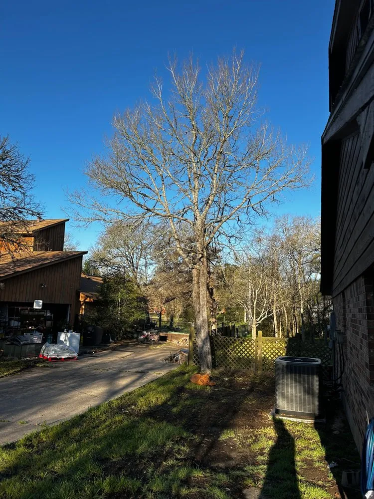 Reliable lawn mowing service experts serving Bryan, TX - Top Point Tree