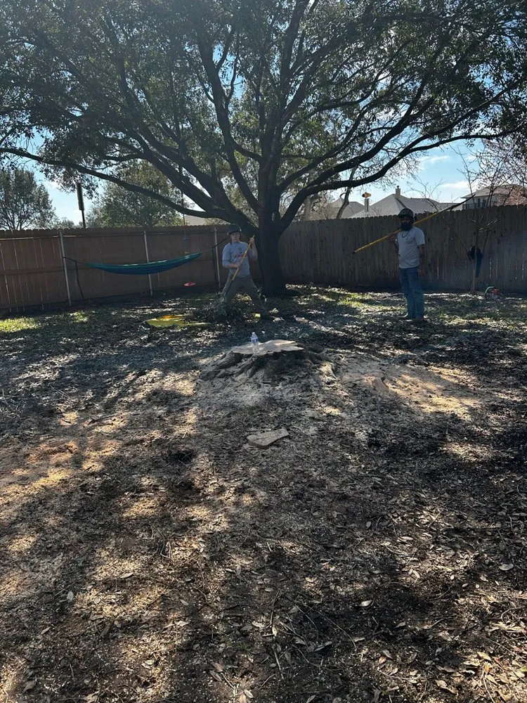 Expert garden landscaping in Bryan, TX by Top Point Tree