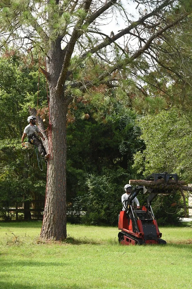 Top-rated lawn mowing service experts serving Bryan, TX - Top Point Tree