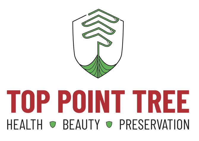 Expert outdoor landscaping with custom design in Bryan, TX by Top Point Tree