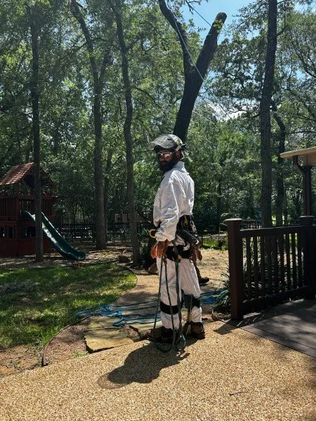 Trusted yard maintenance with custom design across Bryan, TX - Top Point Tree