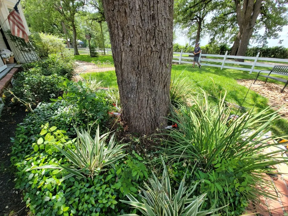 Affordable garden landscaping for outdoor upgrades across Bryan, TX - Top Point Tree