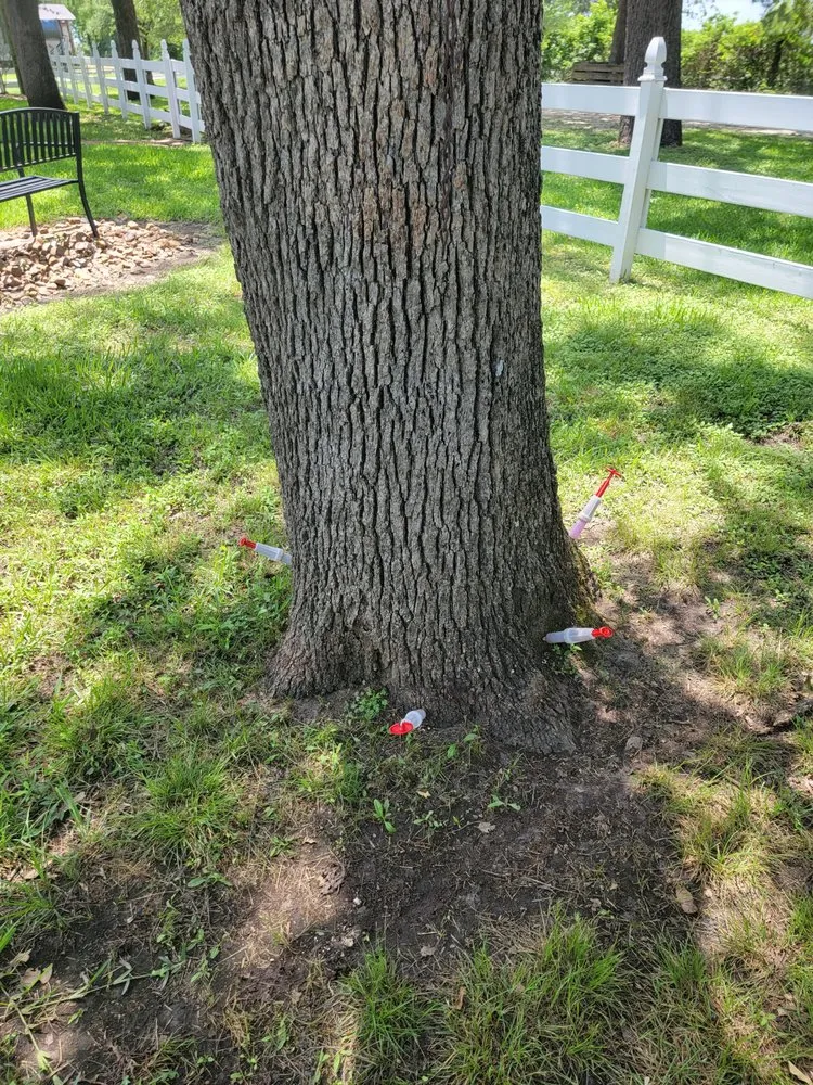 Expert landscaping services for outdoor upgrades in Bryan, TX by Top Point Tree