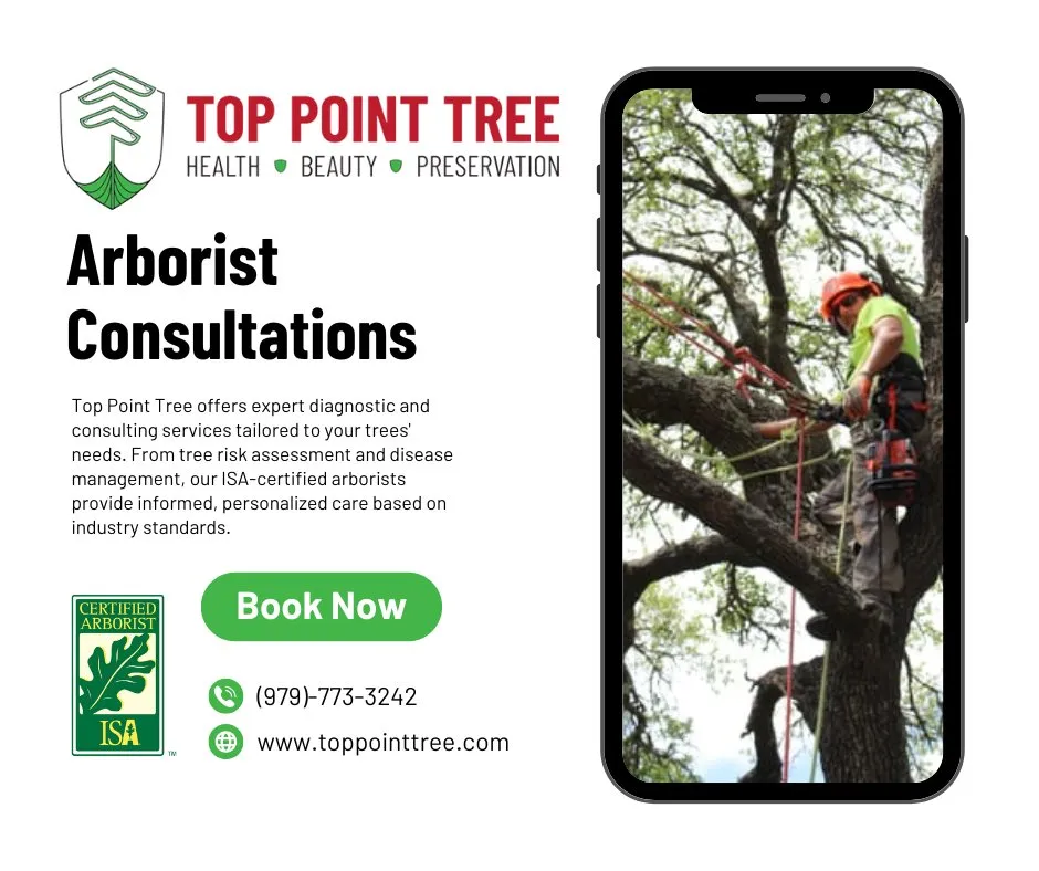 Expert landscape design in Bryan, TX by Top Point Tree