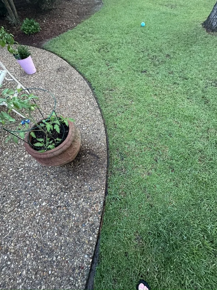 Reliable yard maintenance in Hattiesburg, MS - Top Pressure Washing