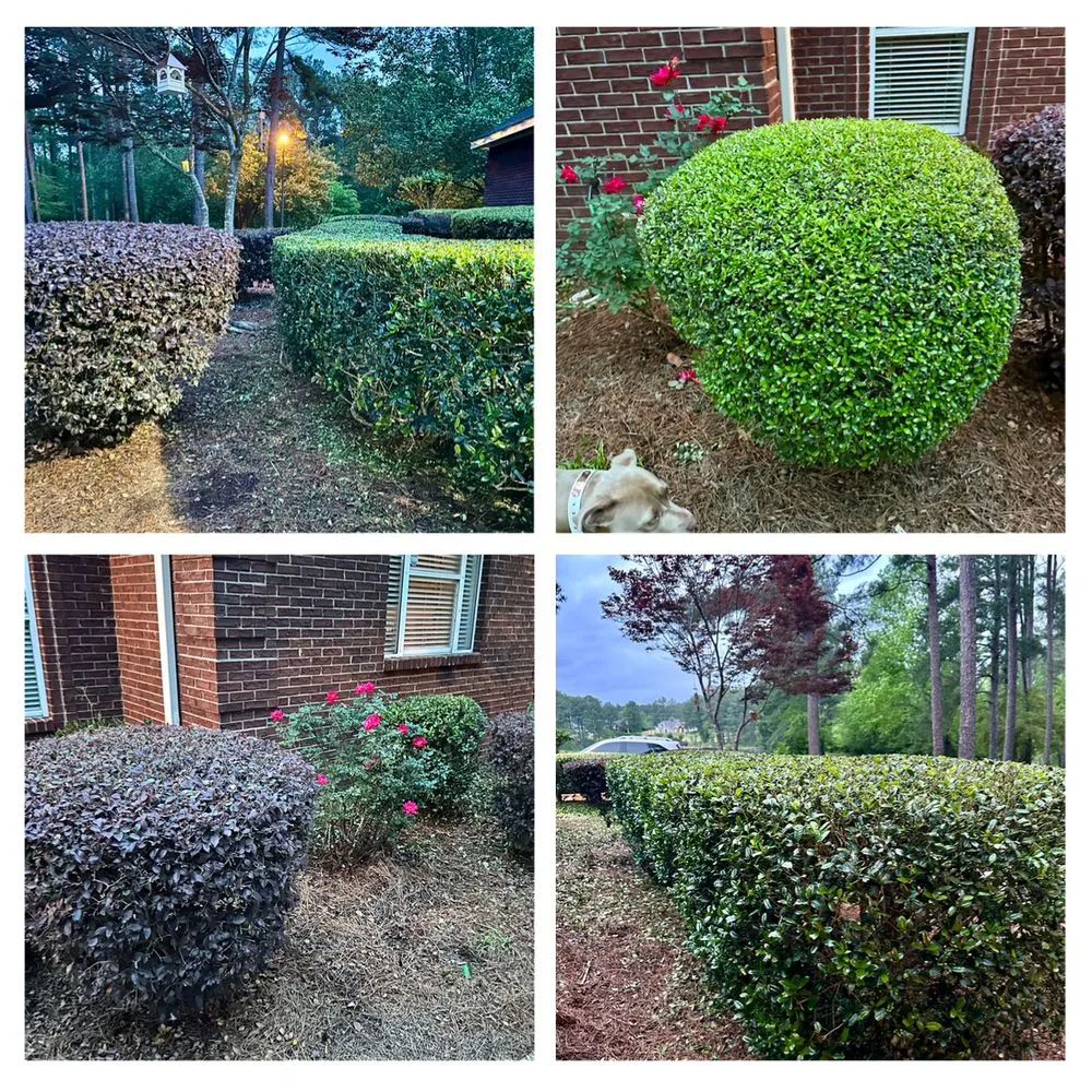 Local outdoor landscaping for outdoor upgrades across Hattiesburg, MS - Top Pressure Washing