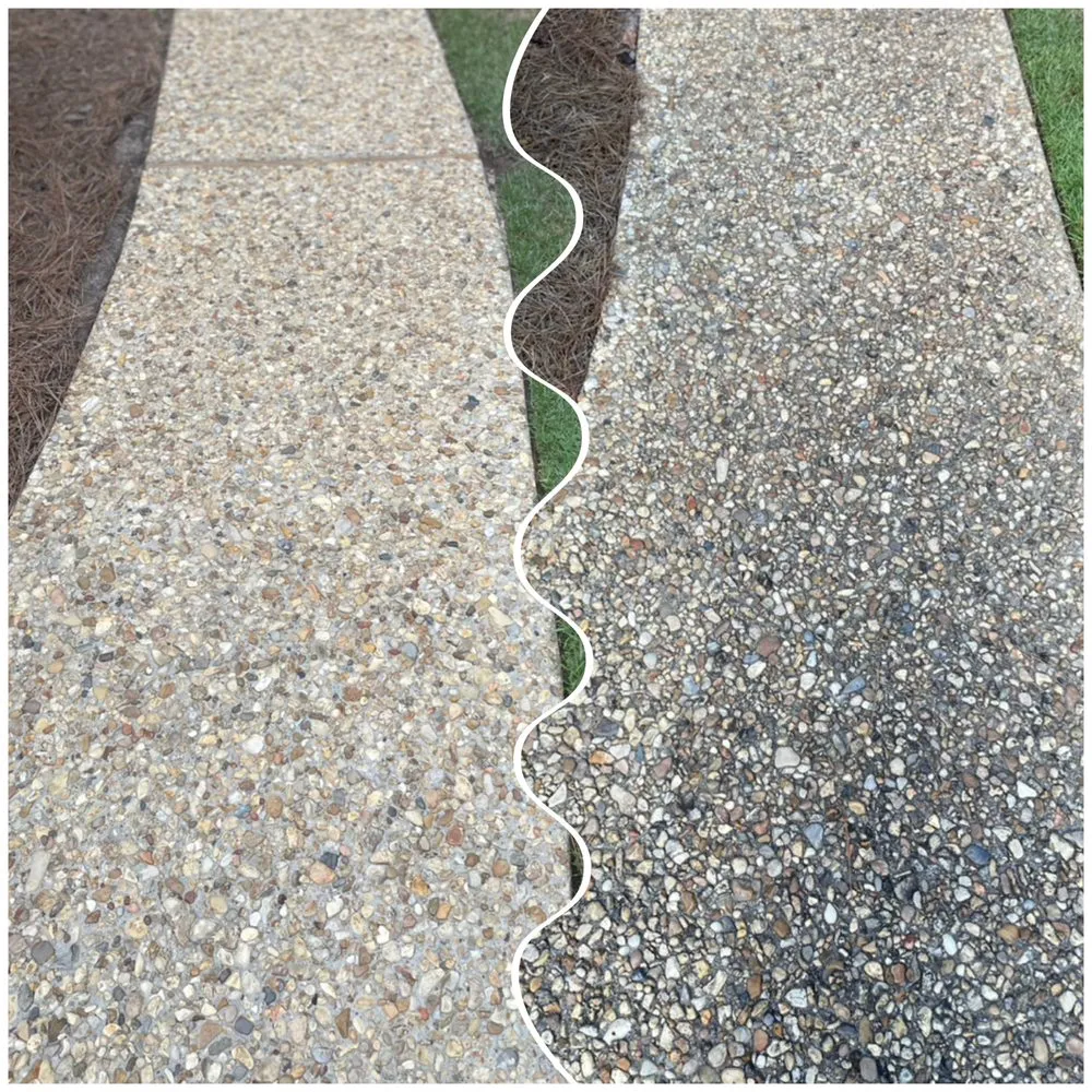 Expert yard maintenance in Hattiesburg, MS by Top Pressure Washing