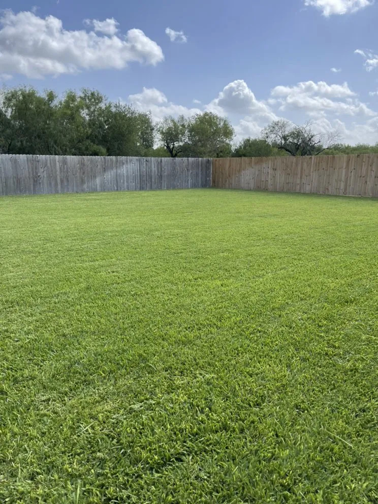 Reliable residential landscaping for beautiful yards in Alamo, TX by Top Priority Lawn Care