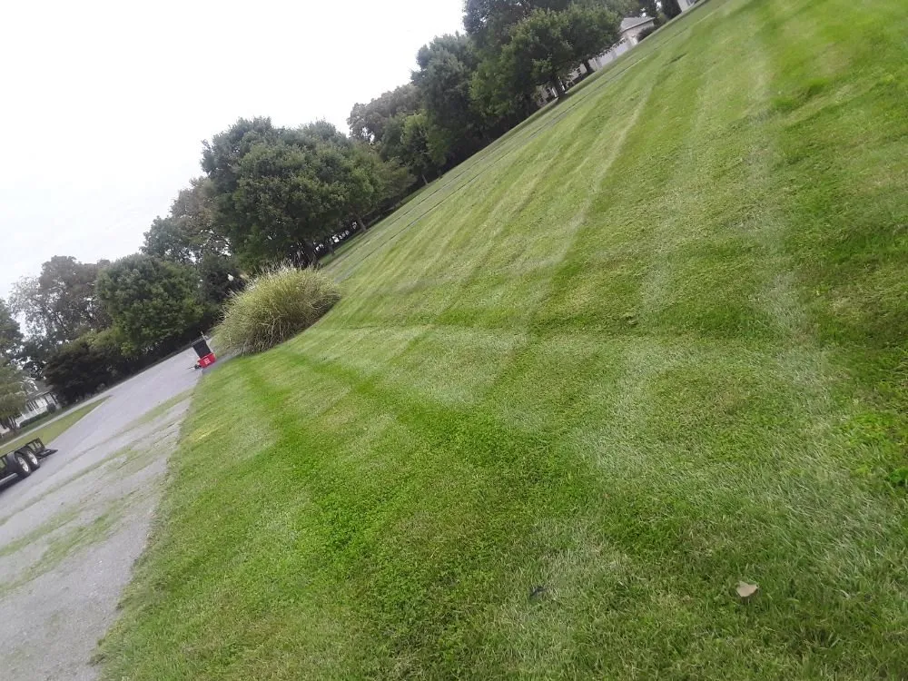 Trusted yard maintenance in Charles Town, WV by Top Priority Lawncare And Landscapes