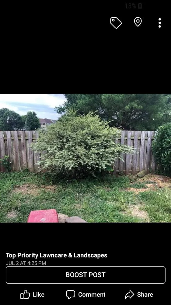 Local residential landscaping experts serving Charles Town, WV - Top Priority Lawncare And Landscapes