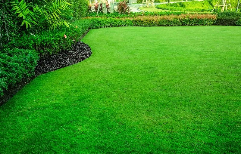 Trusted yard maintenance experts serving Flint, MI - Top Quality Landscape